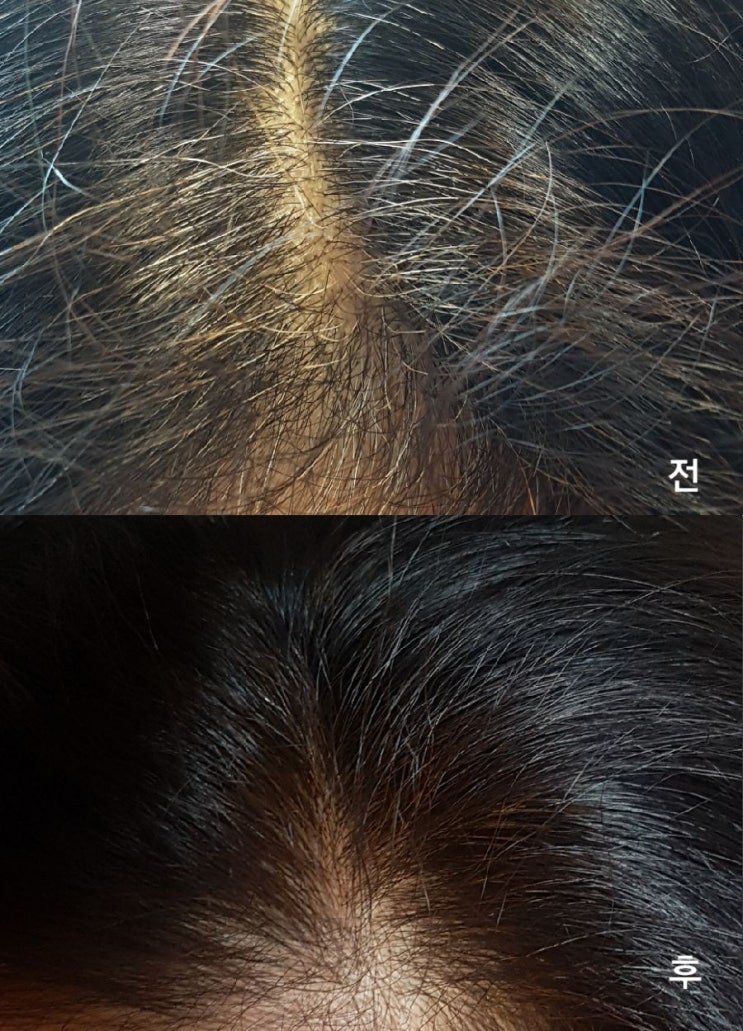  헤나 아닌 천연염색약 찾으시면 씨드비 추천해요~~