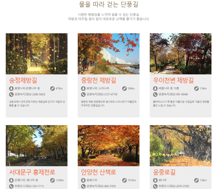  도심에서 느끼는서울의 가을청취 - 서울 단풍길 90선