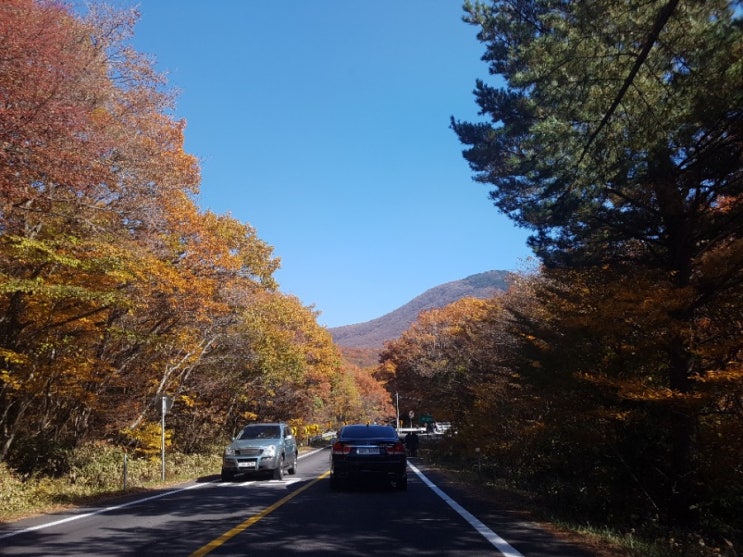 한라산 영실코스 단풍구경_10월 28일