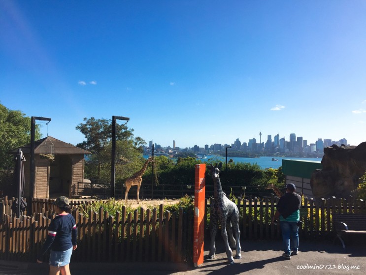 20 호주 신혼여행 :: 시드니 타롱가주(Taronga Zoo) / 타롱가 동물원