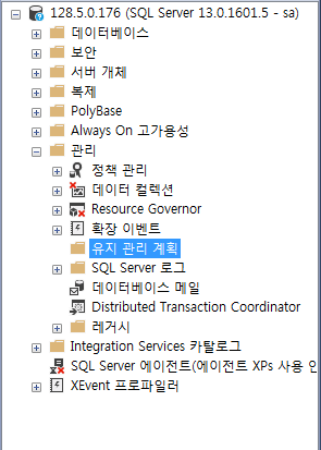  [DB] mssql 백업 스케쥴링