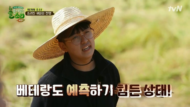  [부산IN신문] tvN ‘풀 뜯어먹는 소리’ 중딩 농부 한태웅과 초딩 농부 지훈이의 추수 대작전