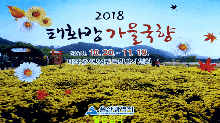  2018 태화강 가을 국향