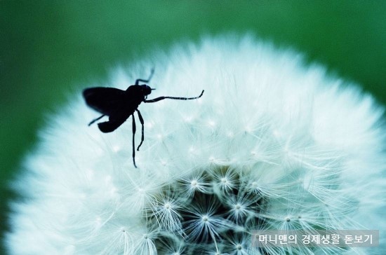  알레르겐 의미와 종류 정리 