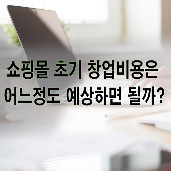  [쇼핑몰]쇼핑몰 초기 창업비용은 어느정도 예상하면 될까?