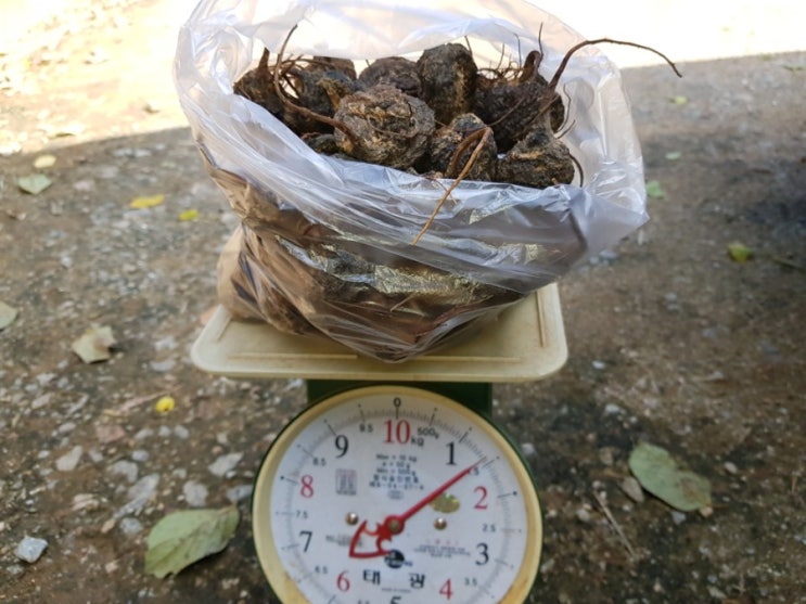 술 끊었닥 안했쏘? 술 끊었닥 안했쏘?