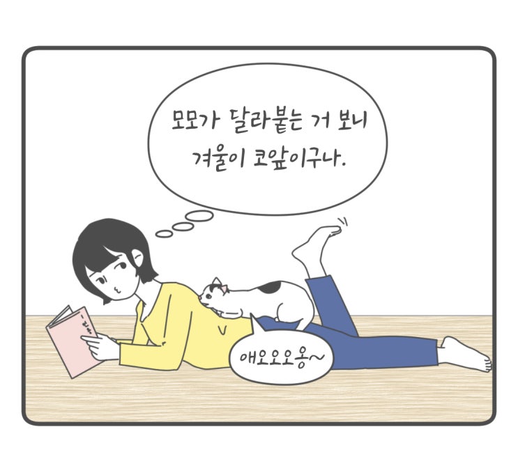  [만화] 고양이와 계절