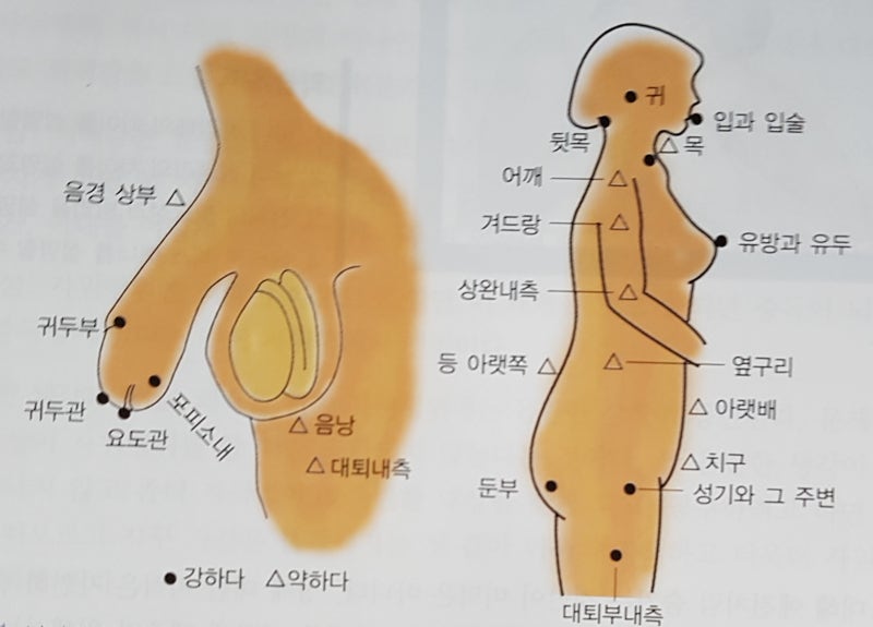 여성의 성감대 : 네이버 블로그 여성의 성감대 : 네이버 블로그