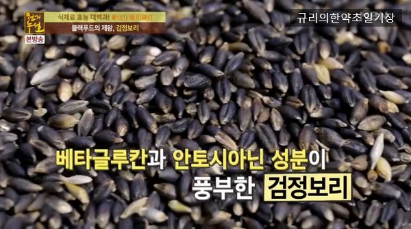  블랙푸드 제왕 검정보리 효능 검정보리차 블랙보리