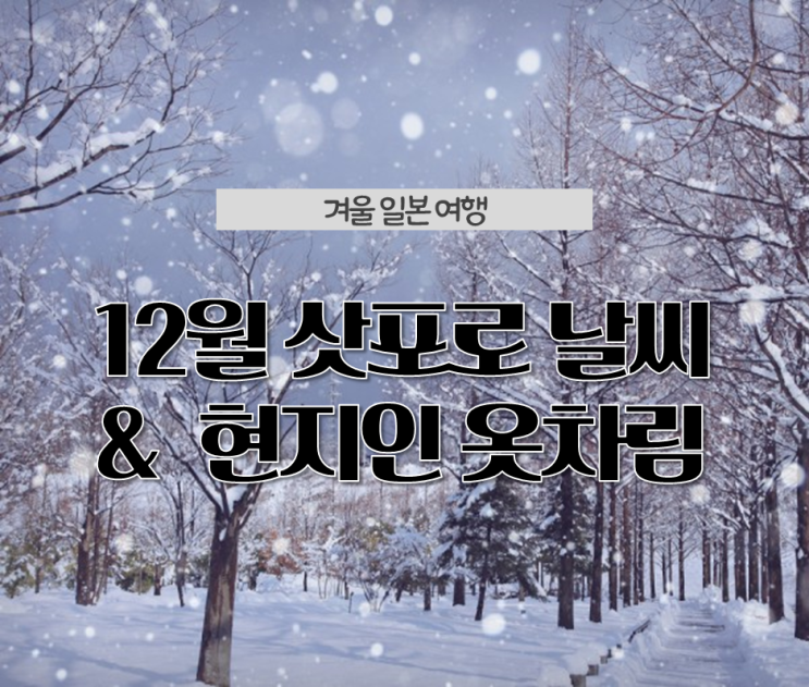  겨울 일본여행, 삿포로 12월 날씨와 여행 옷차림 (북해도, 홋카이도)