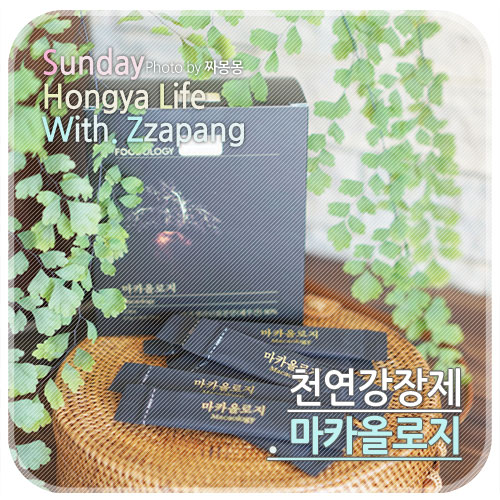  천연강장제로 가볍게 먹기 좋은 마카올로지