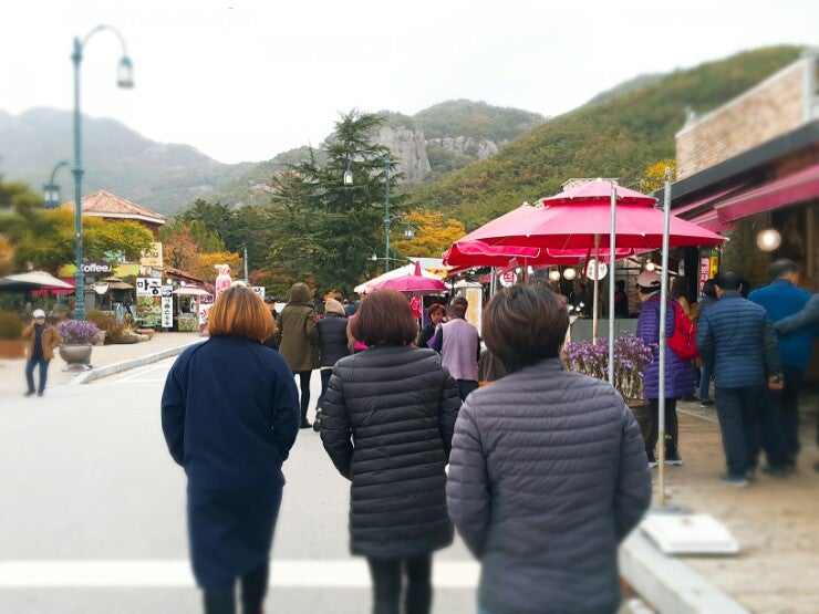 사진 6