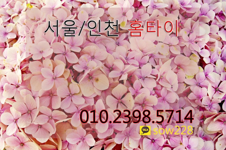  인천 미추홀구 출장타이마사지 콜미콜미