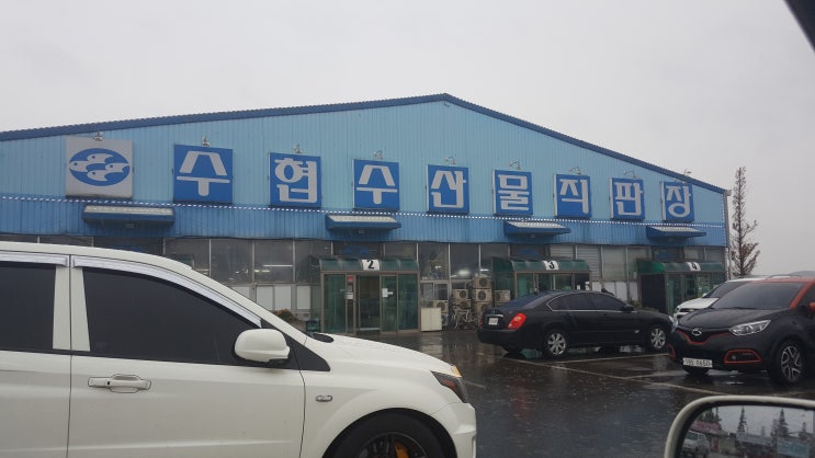  영흥도 수산시장 단골집 낭만수산