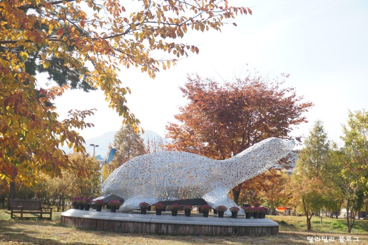  「자라섬 경기도 가평 캠핑장」 서울 근교 여행지!