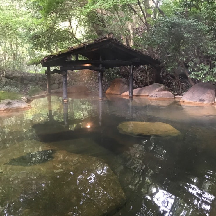  후쿠오카 효도여행, day3: 료칸 산가 온천. 구로카와 온천마을 구경.
