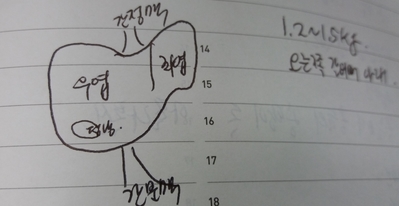  간암 가이드북 - 윤승규