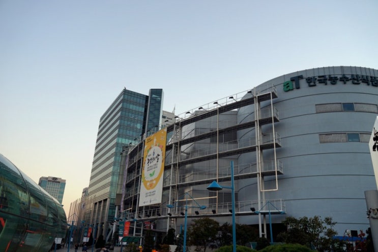 양재 AT센터에서 바라본 현대자동차 본사 현대기아 자동차 빌딩 한국농수산식품유통공사