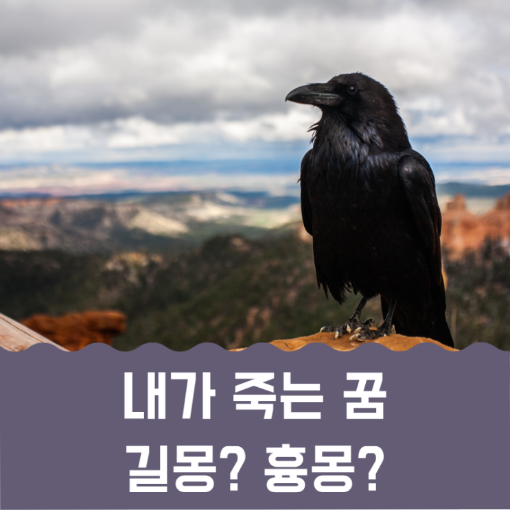  내가죽는꿈 길몽? 흉몽?
