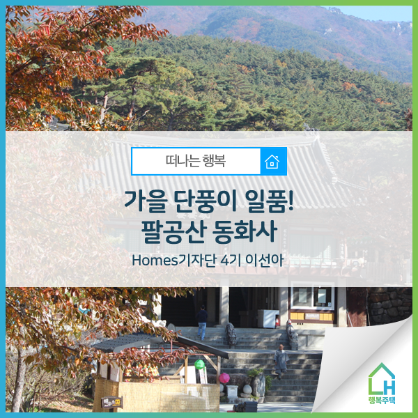  [떠나는 행복] 가을 단풍이 일품! 팔공산 동화사 - Homes기자단 4기 이선아