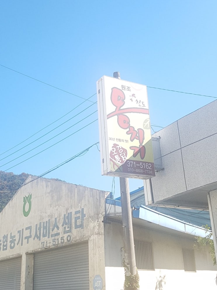  청도 맛집 청도의 로컬식당 옹치기 오경통닭 달달하고 매콤한 찜닭