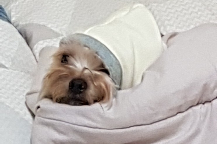  지켜볼거야!