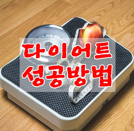 다이어트 성공방법도 규칙이 있다?