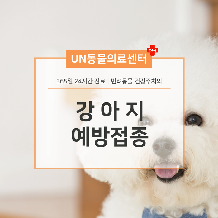  강아지 예방접종, 강아지 심장사상충, 예방접종 (부산24시동물병원 UN동물의료센터)