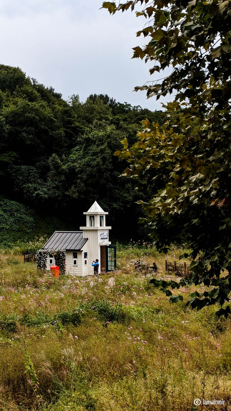 순천 가볼 만한 곳, 순천드라마촬영장