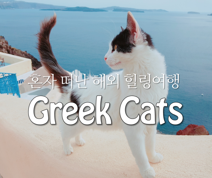 혼자 가기 좋은 해외 힐링여행지, 그리스에서 만난 고양이들