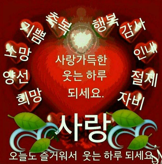 카톡짤 짤방모음 카톡짤방모음 웃긴짤방모음 188 네이버 블로그