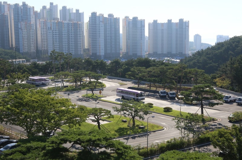 포항운전면허 준비 영남자동차운전전문학원 더할나위없다!