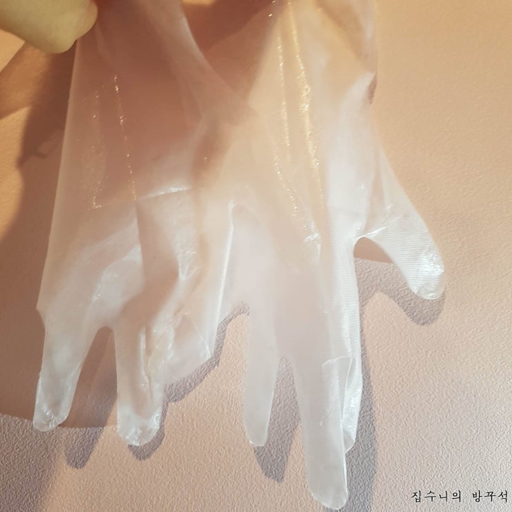  [매일매일 버리기]D+339_일회용 장갑