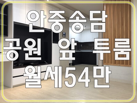  안중투룸월세 공원이 집앞에  편의점 뚜레쥬르 걸어서 1분거리라서 너무 좋아요