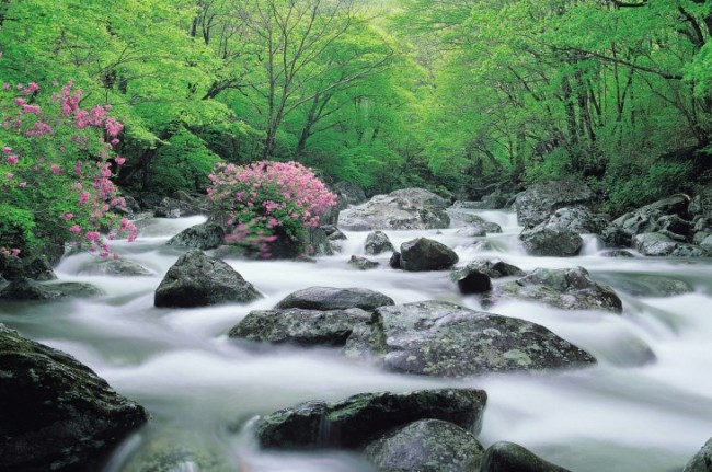  삼담 주제는 연애와 궁합, 인연 찾기