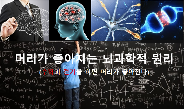 [진해수학학원/더매쓰] 수학과 걷기를 하면 두뇌가 좋아진다?? (머리가 좋아지는 뇌과학적 원리)