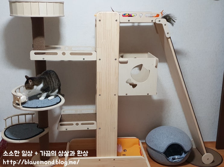 캣타워 질렀다아아아아