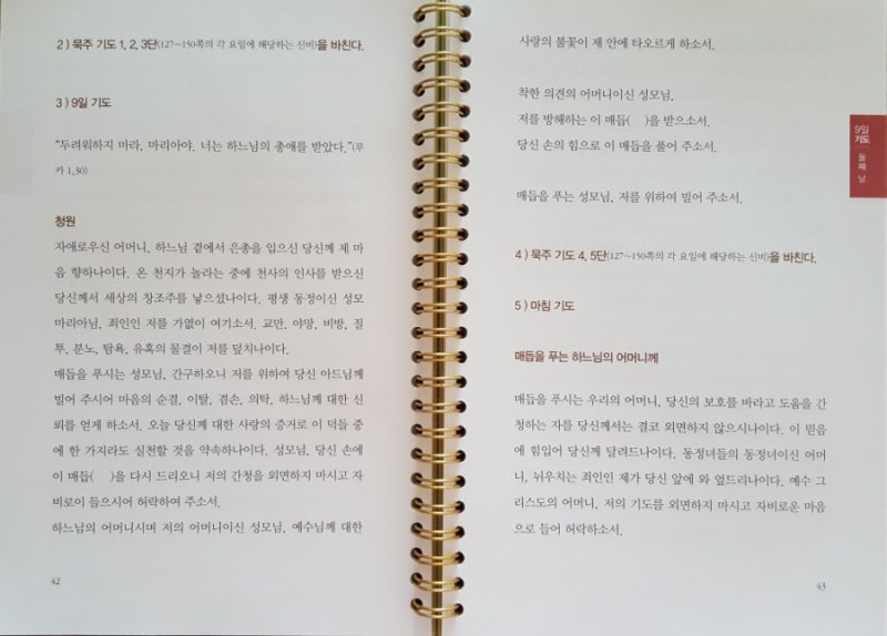 교황님과 함께 매듭을 푸는 9일 기도 - 매듭을 푸시는 성모님 : 네이버 블로그