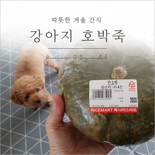  강아지 호박죽 겨울 간식으로 딱! (with 식혜)