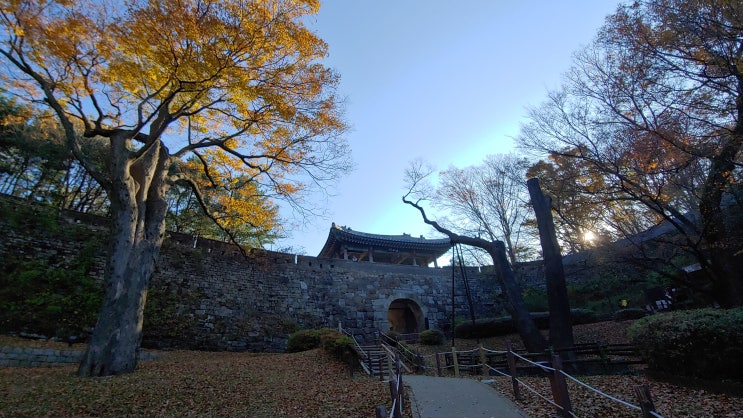 11월 초입 오늘 남향 남한산성 남문에서 동문 전 까지의 남녘 풍경 11월 초입 오늘 남향 남한산성 남문에서 동문 전 까지의 남녘 풍경