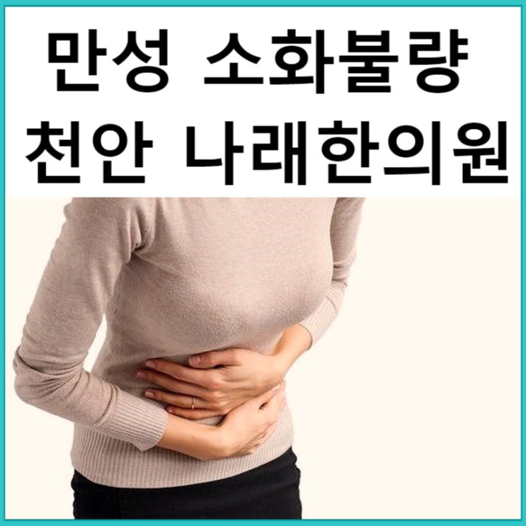 신부동한의원 : 만성소화불량의 치료 관리 : 천안 나래 침 vs 한약