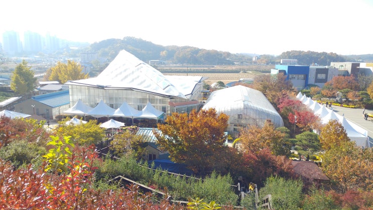  당진여행 추천 당진농업기술센터 파크 식물원, 국화축제,핑크뮬리,동물원,전망대