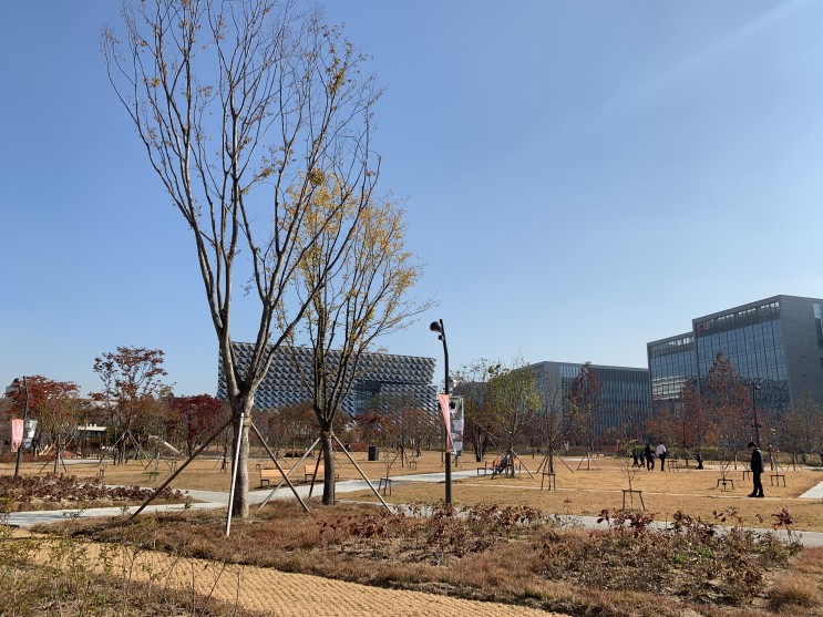 [일상] 서울 식물원 임시 개방 나들이.NAVER