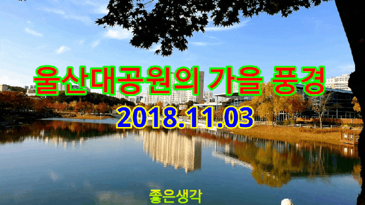 20181103 울산대공원의 가을 풍경