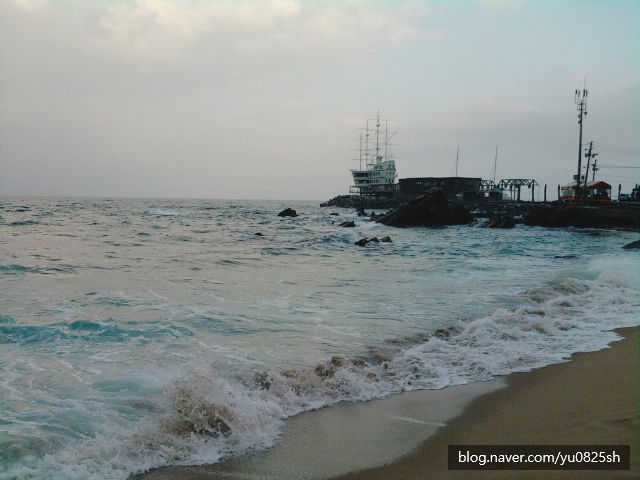  <Itinerary, 그리고 인생을 연재하다 6> 뿌리 깊은 나무