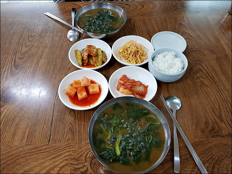  충주 매일식당ㅡ술은 안 파는 올갱이(다슬기)국밥맛집