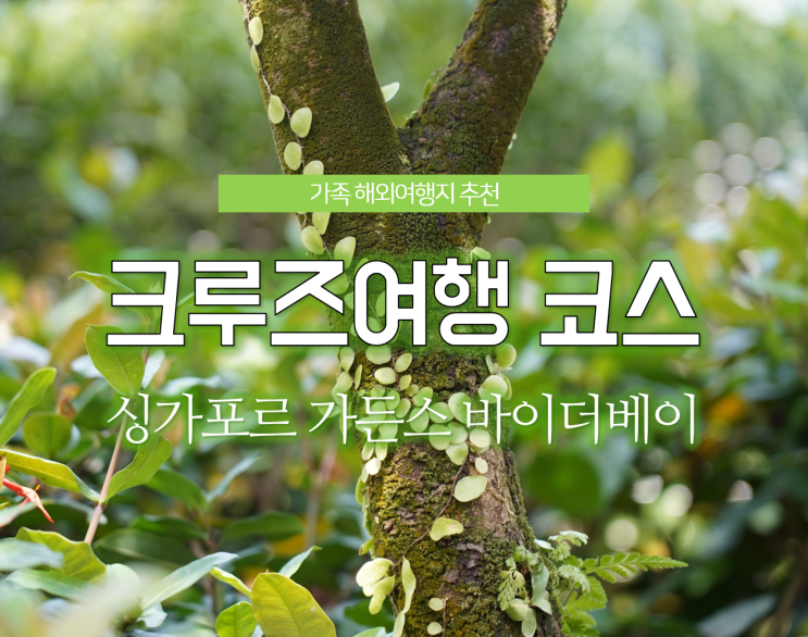  day7) 해외가족여행추천! 동남아 크루즈여행 마지막 날, 싱가포르 가든스바이더베이