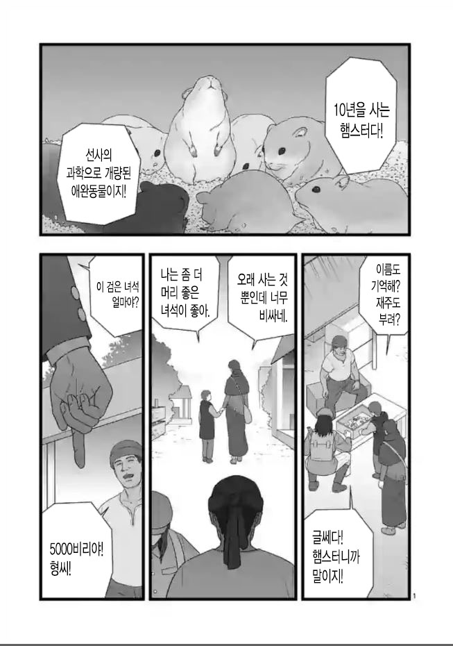  타천작전/초월존재