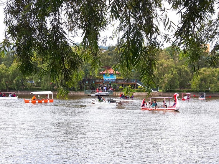  바기오 번햄파크 정말 평화롭고 즐길거리가 많은 곳 !! Baguio Burnham park