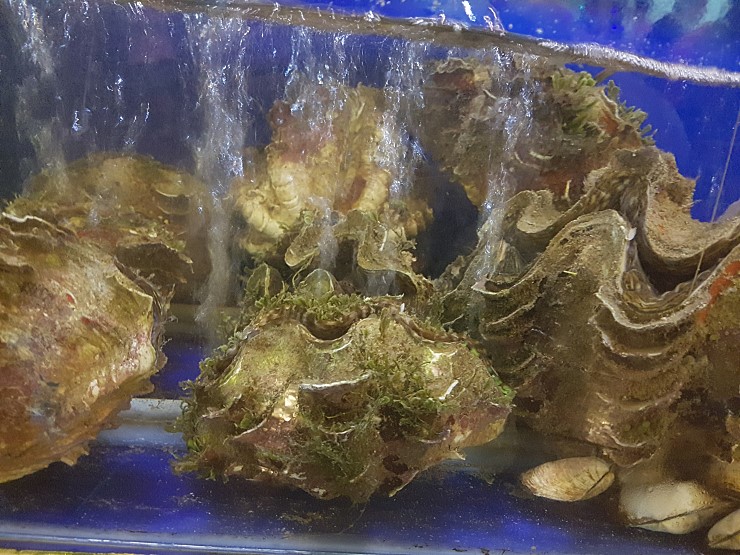  호치민 킹크랩 해산물 식당 고급